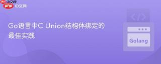 Go语言中C Union结构体绑定的最佳实践