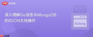 深入理解Go语言与MongoDB的BSON文档操作