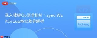 深入理解Go语言指针:sync.WaitGroup地址差异解析