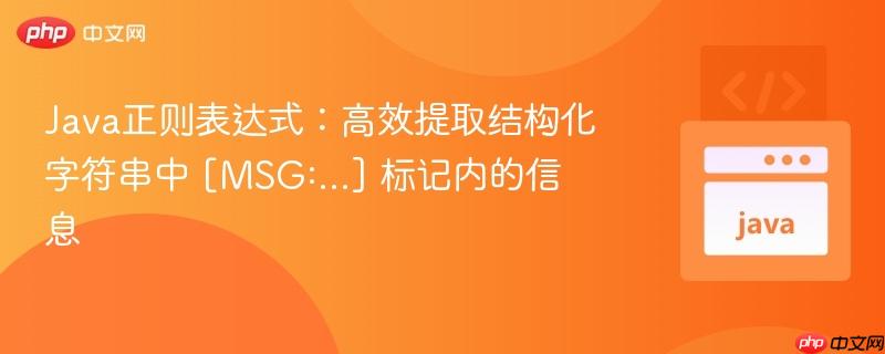 Java正则表达式：高效提取结构化字符串中 [MSG:...] 标记内的信息
