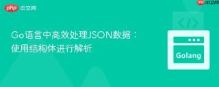 Go语言中高效处理JSON数据：使用结构体进行解析