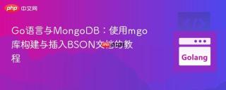 Go语言与MongoDB：使用mgo库构建与插入BSON文档的教程