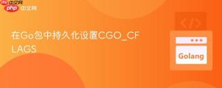 在Go包中持久化设置CGO_CFLAGS