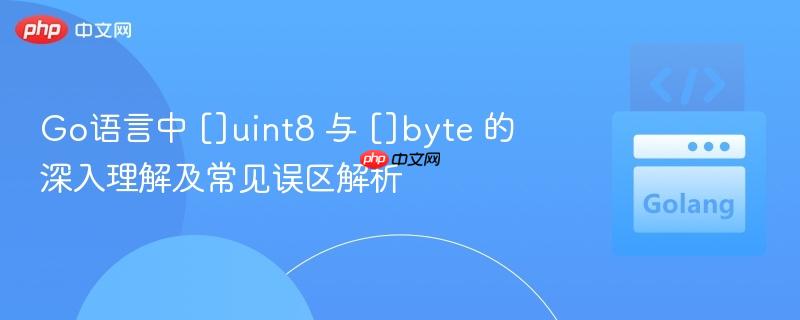 Go语言中 []uint8 与 []byte 的深入理解及常见误区解析
