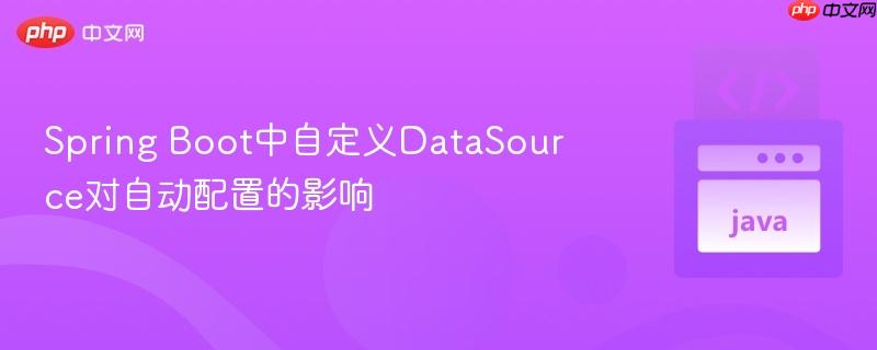 spring boot中自定义datasource对自动配置的影响