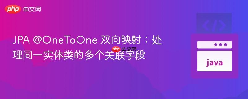 JPA @OneToOne 双向映射：处理同一实体类的多个关联字段
