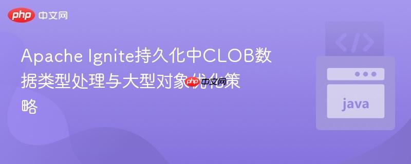 Apache Ignite持久化中CLOB数据类型处理与大型对象优化策略
