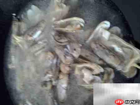 蒜末拇指蛤汤：鲜香开胃