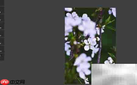 Pixlr Shine滤镜使用技巧