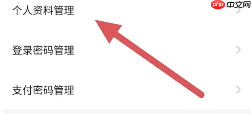 代练丸子查看实名认证位置