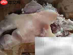 猪头去骨技巧全解析