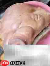 猪头去骨技巧全解析