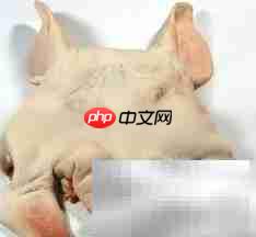 猪头去骨技巧全解析