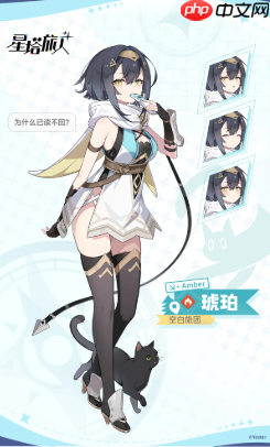 《星塔旅人》琥珀介绍