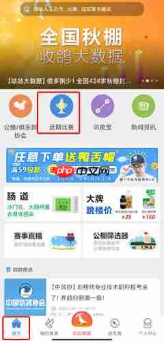 《咕咕信鸽》查询成绩方法