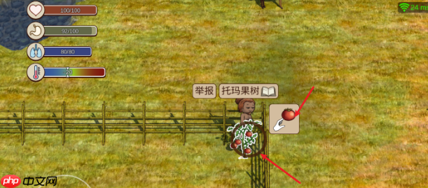 村落人生饥饿值恢复方法技巧