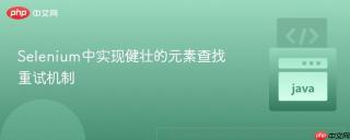 Selenium中实现健壮的元素查找重试机制