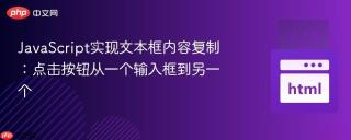 JavaScript实现文本框内容复制：点击按钮从一个输入框到另一个