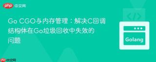 Go CGO与内存管理：解决C回调结构体在Go垃圾回收中失效的问题