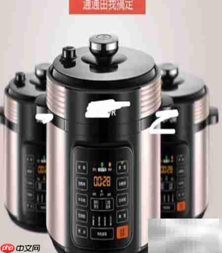 选购餐馆高压锅的实用指南
