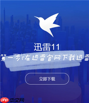 迅雷网盘网页版登录入口 迅雷网盘网页版怎么下载文件