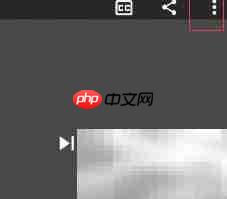 译学馆跟读技巧