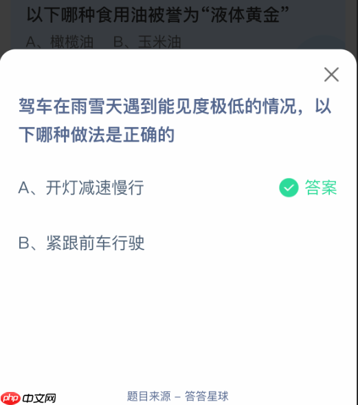 驾车在雨雪天遇到能见度极低的情况，以下哪种做法是正确的