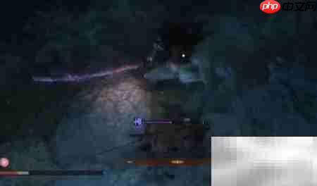 只狼仙峰寺无首位置及捷径