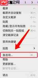 Snipaste怎么开启截屏锚点显示