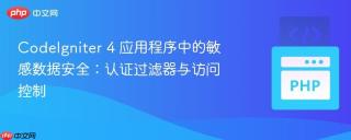 CodeIgniter 4 应用程序中的敏感数据安全：认证过滤器与访问控制