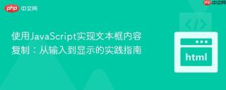 使用JavaScript实现文本框内容复制：从输入到显示的实践指南