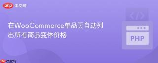 在WooCommerce单品页自动列出所有商品变体价格