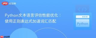 Python文本语言评估性能优化：使用正则表达式加速词汇匹配