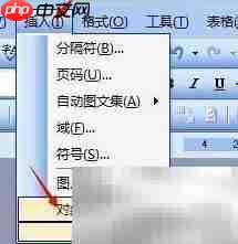 Word特殊格式处理技巧