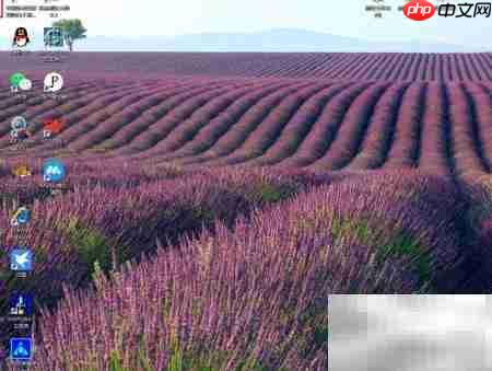 台式机启动wpdbusenum方法