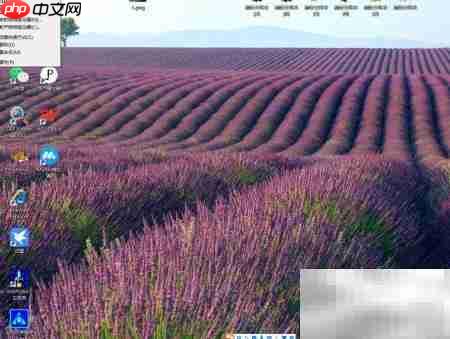 台式机启动WPDBusEnum方法