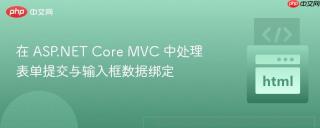 在 ASP.NET Core MVC 中处理表单提交与输入框数据绑定