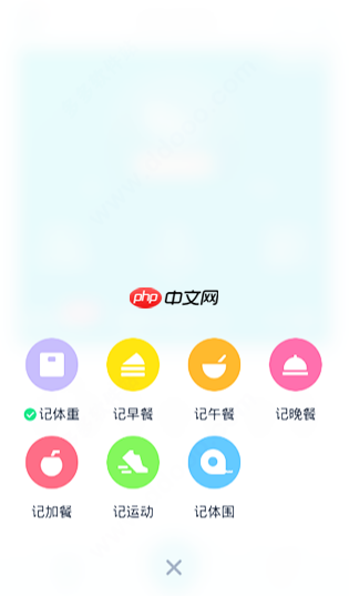 体重小本怎么使用