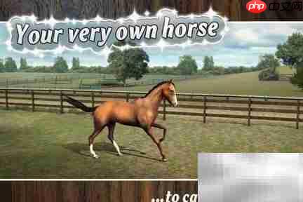 我的马评测:奔腾的赛马模拟