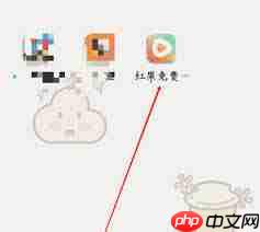 红果免费短剧阅读如何赚取金币