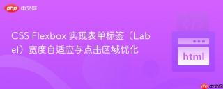 CSS Flexbox 实现表单标签（Label）宽度自适应与点击区域优化