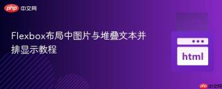 Flexbox布局中图片与堆叠文本并排显示教程