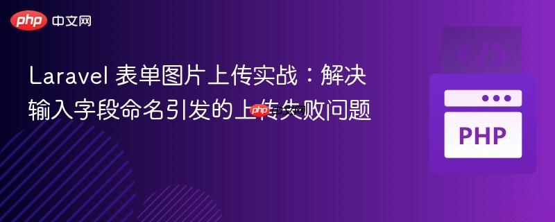 Laravel 表单图片上传实战：解决输入字段命名引发的上传失败问题
