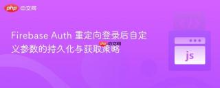 Firebase Auth 重定向登录后自定义参数的持久化与获取策略