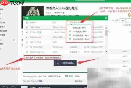 一键批量下载车载音乐