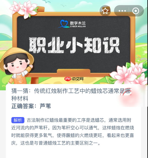 猜一猜：传统红烛制作工艺中的蜡烛芯通常是哪种材料