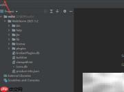 WebStorm配置schemastore模式