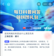 密斑刺鲀的刺是由什么演变而来