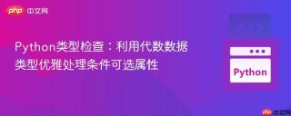 Python类型检查：利用代数数据类型优雅处理条件可选属性