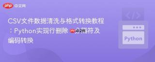 CSV文件数据清洗与格式转换教程：Python实现行删除、分隔符及编码转换
